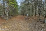  Tract 1 Lone Wolf Tr - Photo 8