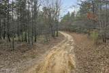  Tract 2 Lone Wolf Trail Tr - Photo 11