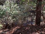  Tract 2 Lone Wolf Trail Tr - Photo 2