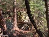  Tract 2 Lone Wolf Trail Tr - Photo 3