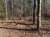  Tract 2 Lone Wolf Trail Tr - Photo 4