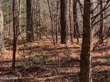  Tract 2 Lone Wolf Trail Tr - Photo 5