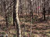  Tract 2 Lone Wolf Trail Tr - Photo 7