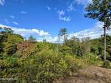 220 Pheasant Court - Photo 12