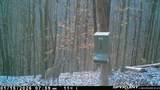 1465 King Bend Rd - Photo 1