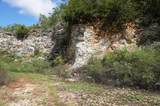 00 Old Andrew Johnson Hwy - Photo 14