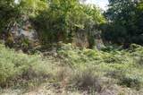 00 Old Andrew Johnson Hwy - Photo 15