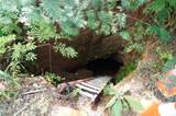 00 Old Andrew Johnson Hwy - Photo 16