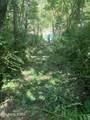 00 Old Andrew Johnson Hwy - Photo 37