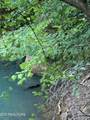 00 Old Andrew Johnson Hwy - Photo 5