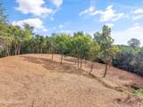 7826 Swaggerty Rd - Photo 1