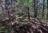 1033 Crown Ridge Lane - Photo 4
