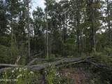 Lot#12 Mill Creek Rd - Photo 1