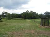 1901 Benson Rd - Photo 3
