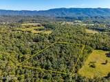 1903 Tree Tops Lane - Photo 1