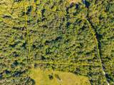 1903 Tree Tops Lane - Photo 3