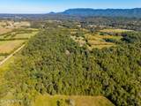 1903 Tree Tops Lane - Photo 4