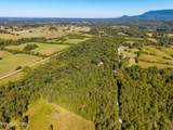 1903 Tree Tops Lane - Photo 5