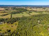 1903 Tree Tops Lane - Photo 6