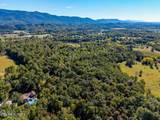 1903 Tree Tops Lane - Photo 8