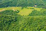  Spruce Pine (330 Acres) Rd - Photo 12