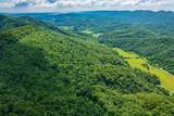 Spruce Pine (330 Acres) Rd - Photo 13
