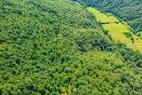  Spruce Pine (330 Acres) Rd - Photo 14