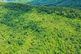  Spruce Pine (330 Acres) Rd - Photo 15