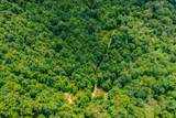  Spruce Pine (330 Acres) Rd - Photo 16