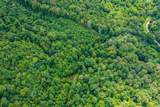  Spruce Pine (330 Acres) Rd - Photo 17