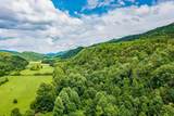  Spruce Pine (330 Acres) Rd - Photo 19
