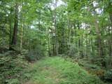 Spruce Pine (330 Acres) Rd - Photo 20