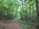  Spruce Pine (330 Acres) Rd - Photo 21