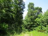  Spruce Pine (330 Acres) Rd - Photo 23