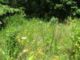  Spruce Pine (330 Acres) Rd - Photo 24