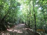  Spruce Pine (330 Acres) Rd - Photo 27