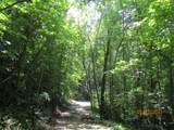  Spruce Pine (330 Acres) Rd - Photo 28