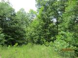  Spruce Pine (330 Acres) Rd - Photo 29