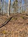  Spruce Pine (330 Acres) Rd - Photo 38