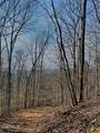  Spruce Pine (330 Acres) Rd - Photo 39