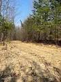  Spruce Pine (330 Acres) Rd - Photo 40