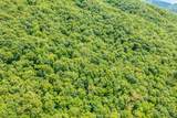  Spruce Pine (330 Acres) Rd - Photo 5