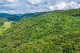  Spruce Pine (330 Acres) Rd - Photo 6