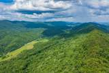  Spruce Pine (330 Acres) Rd - Photo 7