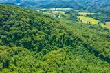  Spruce Pine (330 Acres) Rd - Photo 8