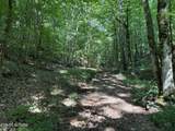 1508 Governor John Sevier Hwy - Photo 4