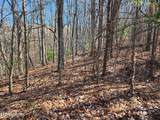 56 Homberg Lane - Photo 2