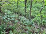 39ac Highway 68 - Photo 23