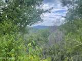  River Birch Way - Photo 1