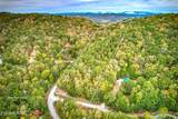  Timber Ridge Lot 117 - Photo 3